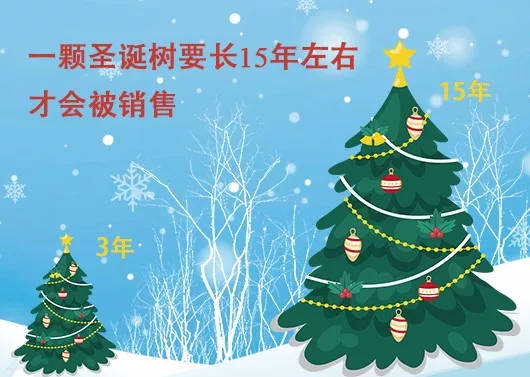 中國最早報道圣誕節(jié)的竟是《人民日報》，你不知道的10個圣誕小知識